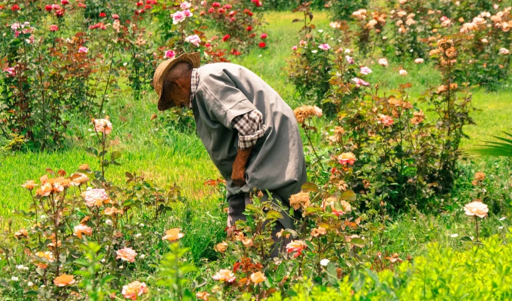 mejor epoca para viajar a Marruecos