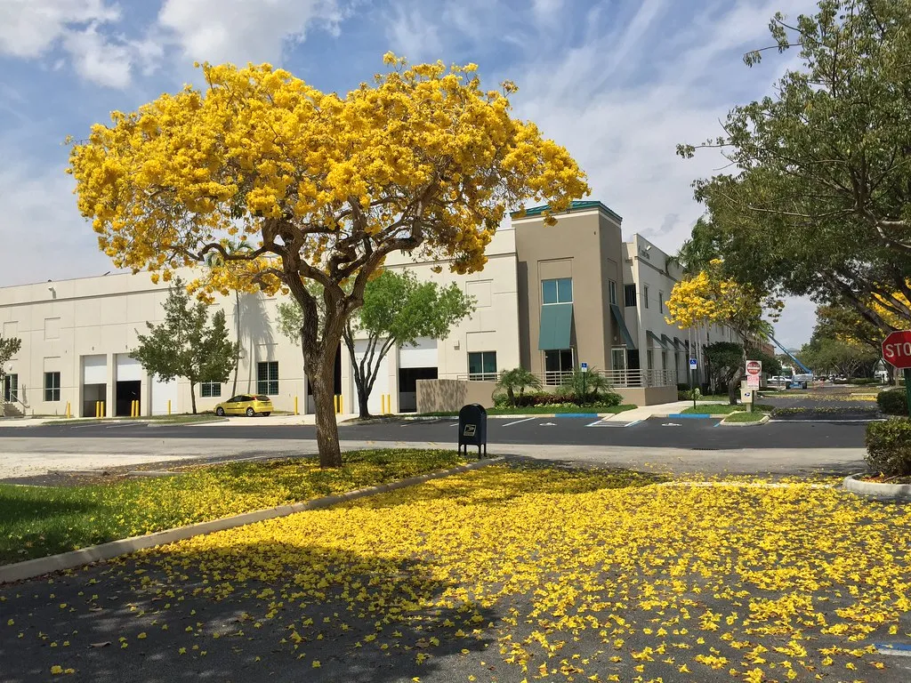 mejor epoca para viajar a Miami