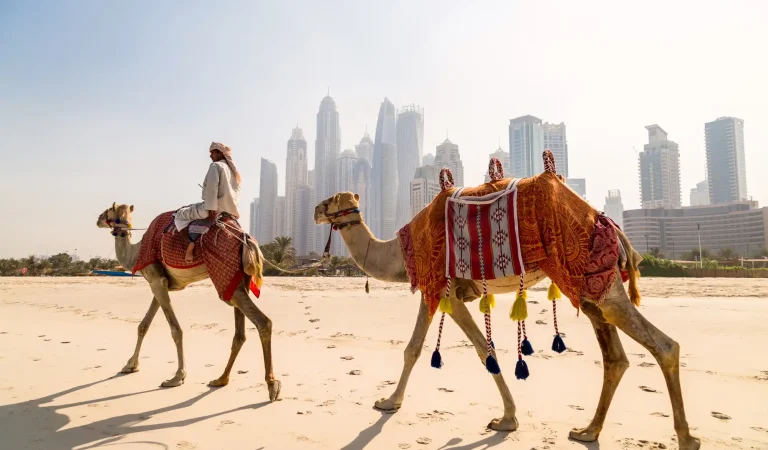 que hacer en dubái